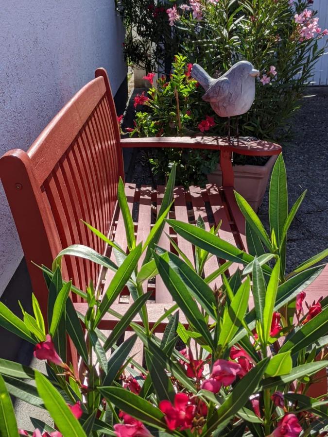 Hortensie Spira Zewnętrze zdjęcie